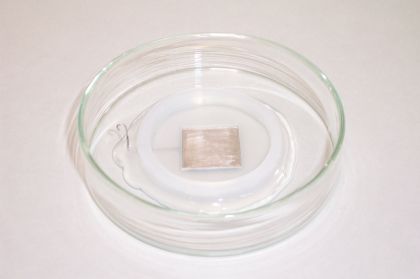 Square Electrode for Electroporation