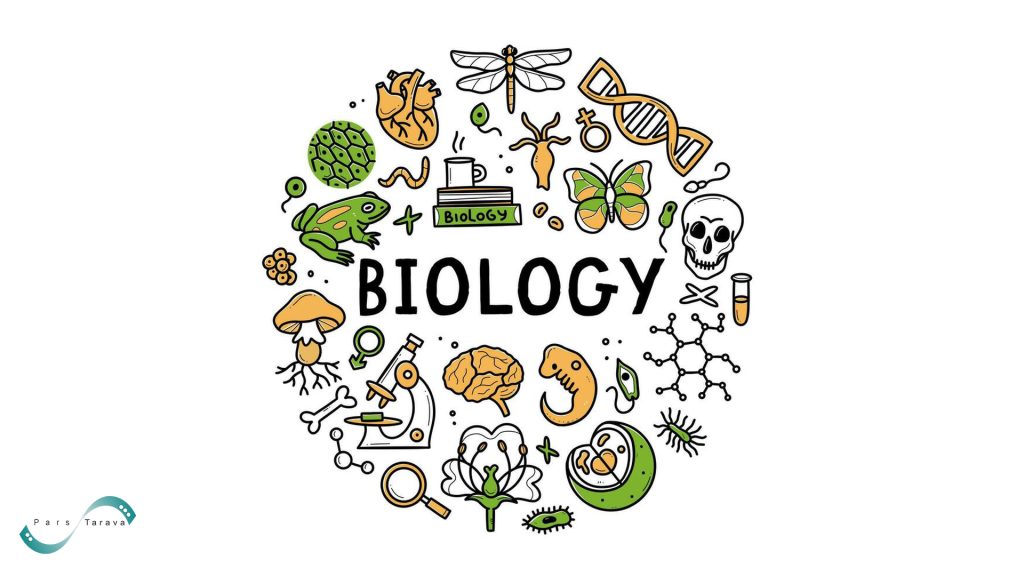 Applications of Electroporation in Biology