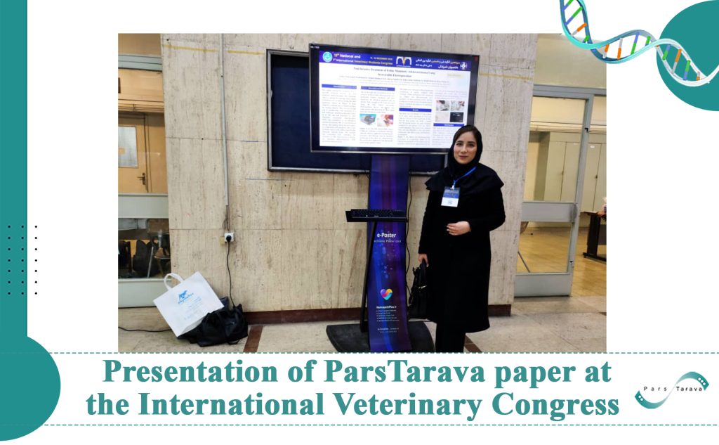 Presentation of the research “Non-Invasive Treatment of Feline Mammary Adenocarcinoma Using Irreversible Electroporation” at the National and International Veterinary Students Congress