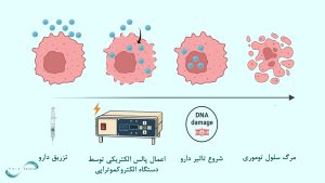درمان سرطان با الکتروکموتراپی