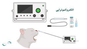 الکتروکموتراپی در دامپزشکی