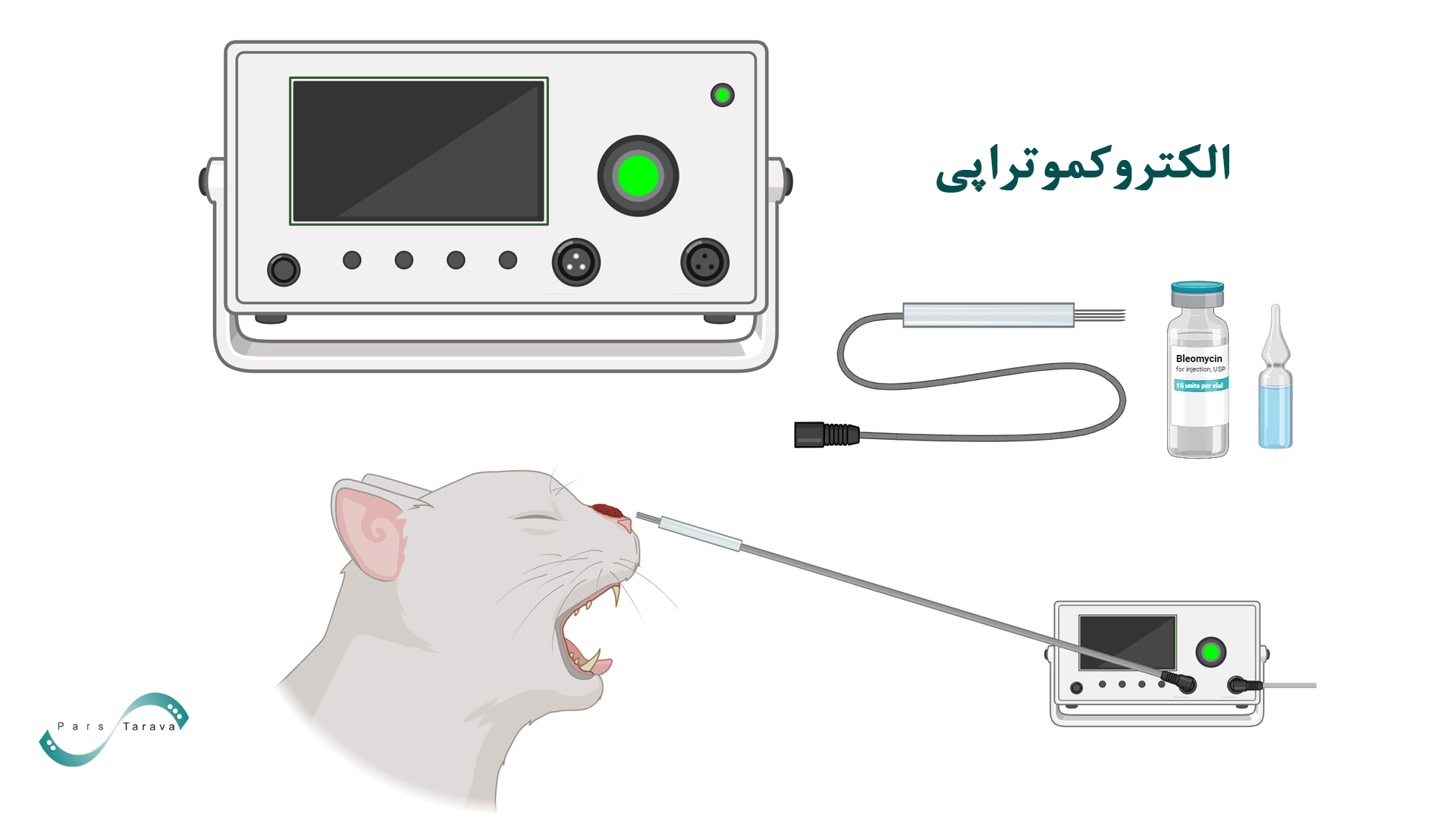 الکتروکموتراپی در دامپزشکی