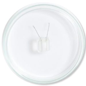 پکیج الکترود و محفظه‌ پتری‌دیش پلاتینی برای الکتروپوریشن در مهندسی بافت