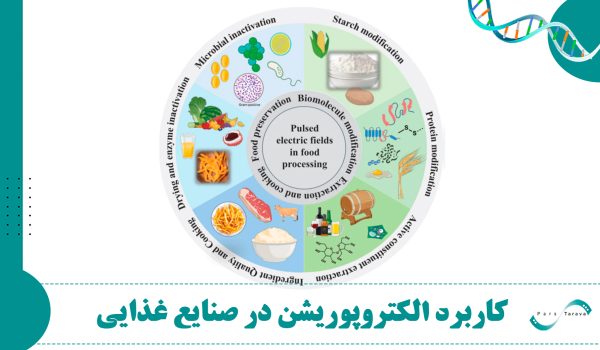 کاربرد الکتروپوریشن در صنایع غذایی