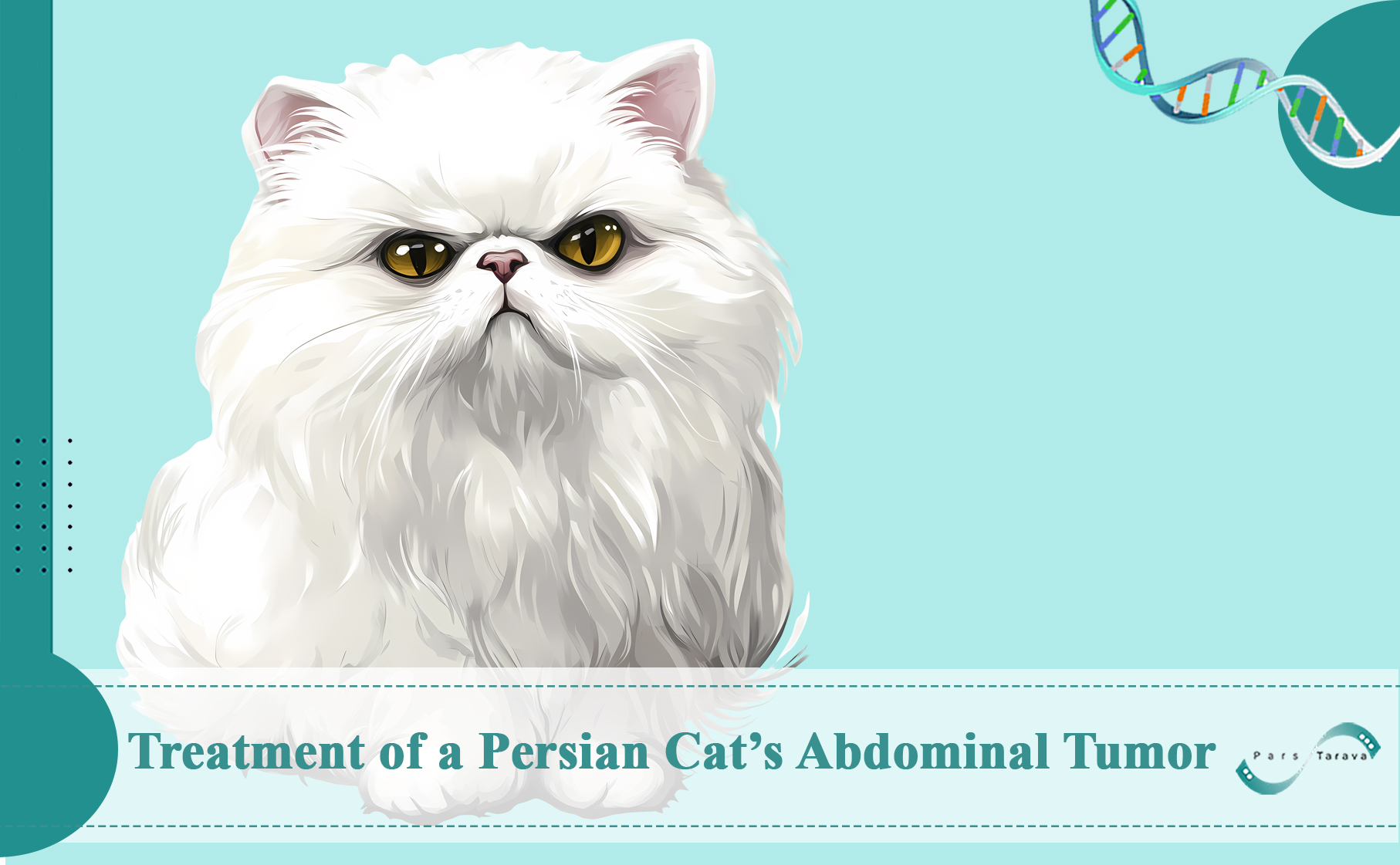 Treatment of Cat’s Tumor