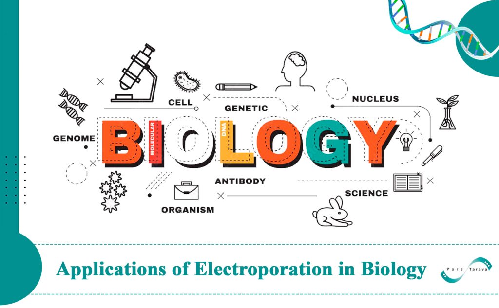 Applications of Electroporation in Biology