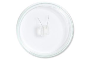 Petri Dish Platinum Electrode for electroporation