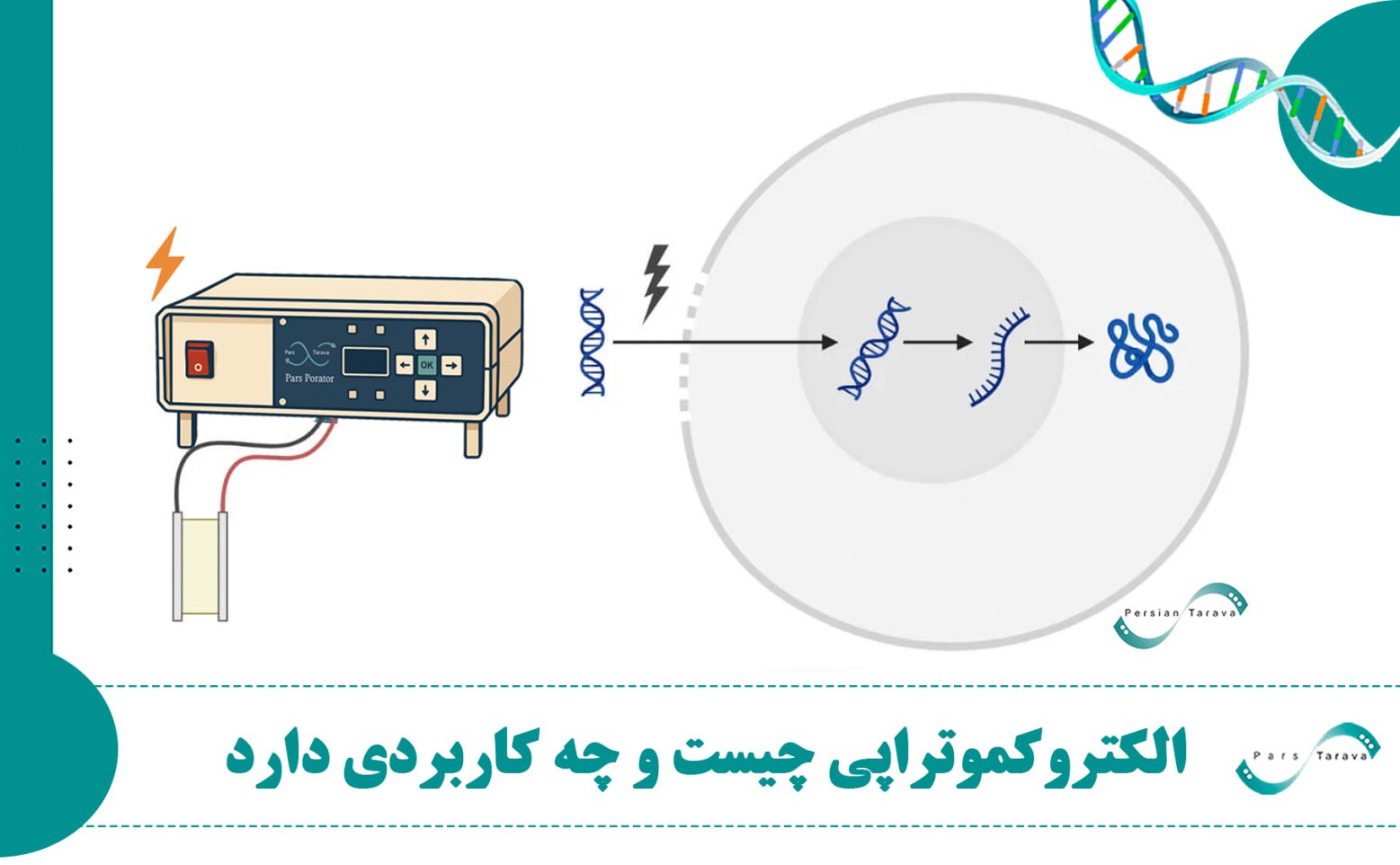 درمان سرطان با الکتروکموتراپی