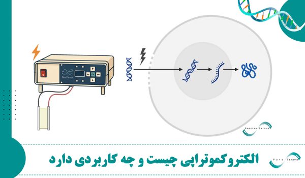درمان سرطان با الکتروکموتراپی
