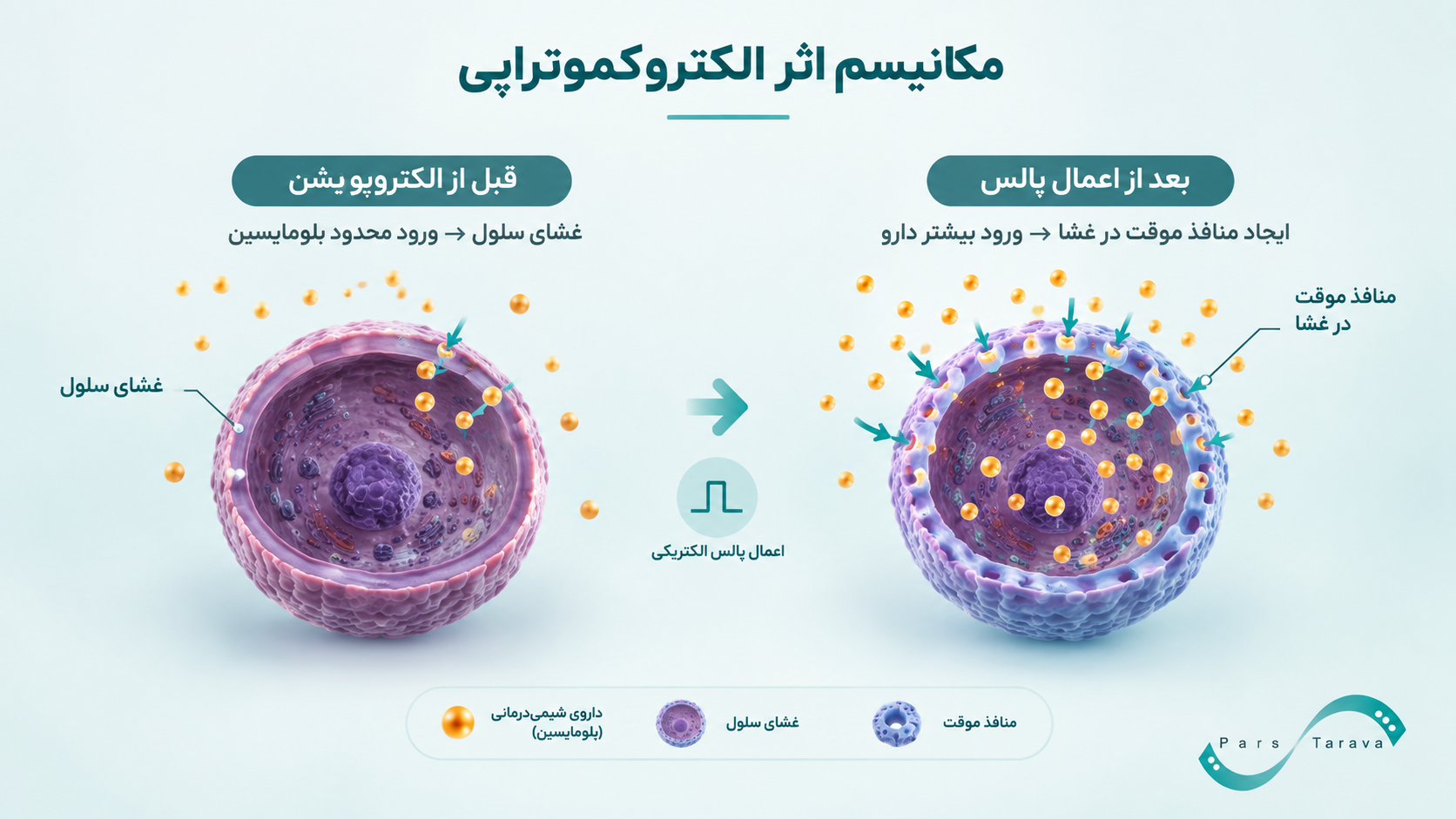 الکتروکموتراپی چگونه عمل میکند