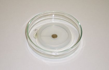 الکترودهای دیسکی پلاتینی الکترودهای دیسکی پلاتینی است که برای پژوهشهای زیستپزشکی پیشرفته