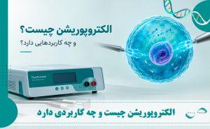 الکتروپوراسیون چیست و چه کاربردی دارد