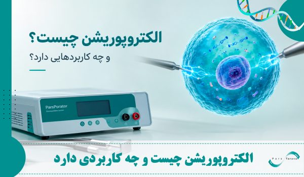 الکتروپوراسیون چیست و چه کاربردی دارد